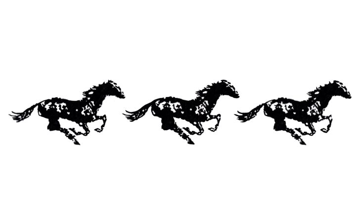 Horse Blackwork Tattoo